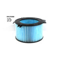 WACF0989 Wesfil Cabin Filter for Volkswagen (Cross Ref: RCA147P)