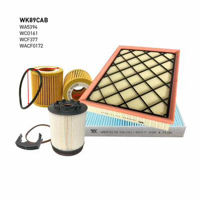 WK89CAB Filter Service Kit for Ford Ranger
