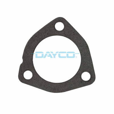 DTG43 Thermostat Seal