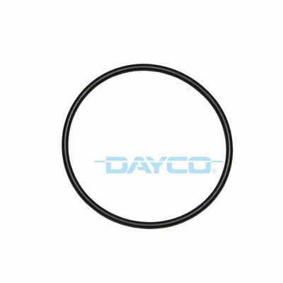 DTG51 Thermostat Seal