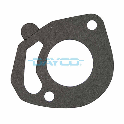 DTG55 Thermostat Seal