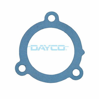 DTG61 Thermostat Seal