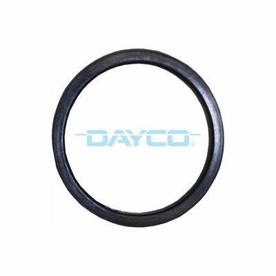 DTG90 Thermostat Seal