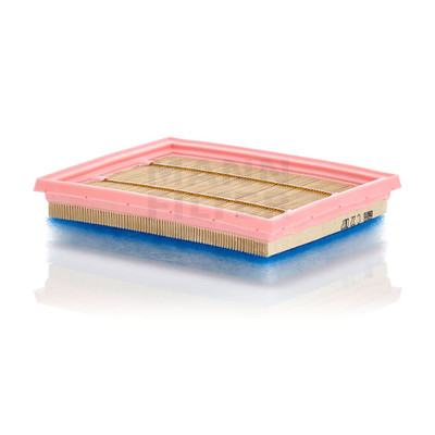 MANN Air Filter C22007