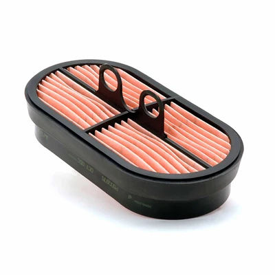 Donaldson Air Filter Safety for Case IH Tractor Quantum Pro JXU 200 P600975