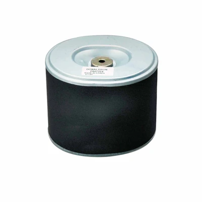 Air Filter Primary Obround Donaldson for Honda Alco BIG A GPC P607254