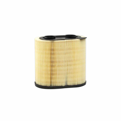 RadialSeal Primary Donaldson for Ford 2017-19 F450 F550 F650 6.7L V8  P640942