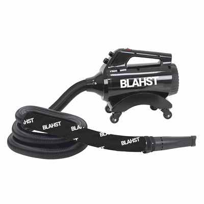 BLAHST AirMaxx Car Dryer Adjustable Air and Heat Flow