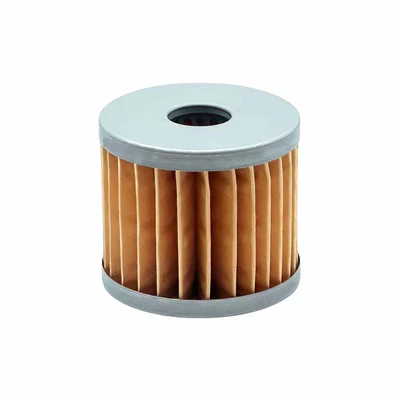 MANN-FILTER C 66 Air Filter Element (Vacuum Pump Intake Filter, Rietschle 730507)