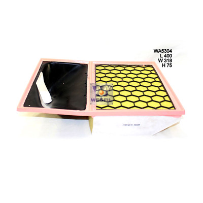 WA5304 Wesfil Air Filter for Iveco (Cross Ref: A1977)