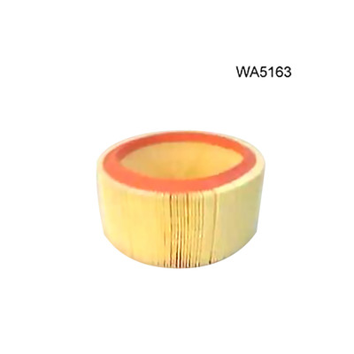 WA5163 Wesfil Air Filter for Renault (Cross Ref: ) WA5163 Wesfil Air Filter for Renault (Cross Ref: )