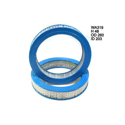 WA319 Wesfil Air Filter for Mitsubishi (Cross Ref: A319)