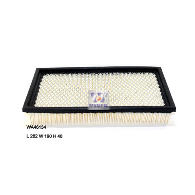 WA46134 Wesfil Air Filter for  Ford (Cross Ref: A1379)