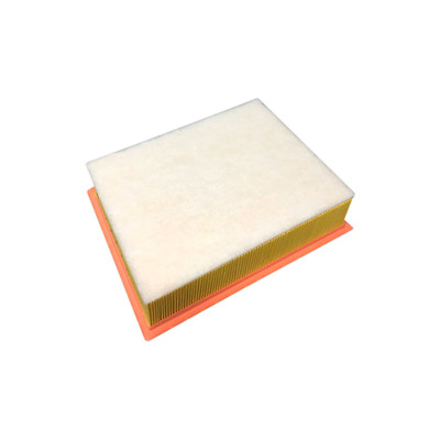 WA5448 Wesfil Air Filter for LDV (Cross Ref: )