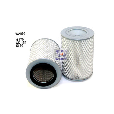 WA830 Wesfil Air Filter for Nissan (Cross Ref: A1203)
