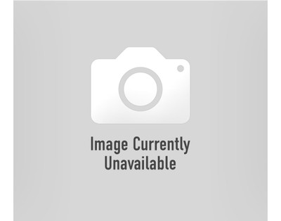 WBW5X100 Wesfil Air Filter for Borg Warner Element 135X102