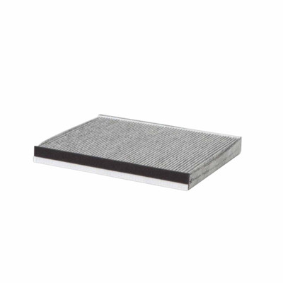 P903530 Cabin Air Filter for Volkswagen Amarok 2H II 2016-18 3.0L 550 2.0L 420 2H 2011-16 420 340 P903530 Cabin Air Filter for Volkswagen Amarok 2H II 2016-18 3.0L 550 2.0L 420 2H 2011-16 420 340