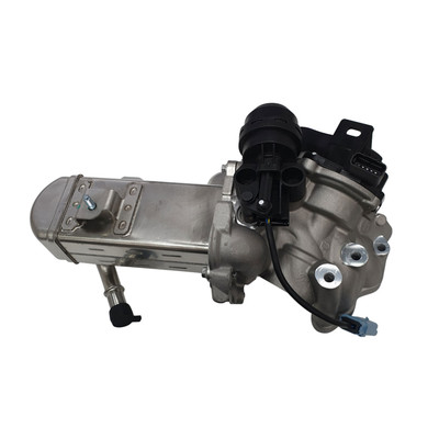 Peugeot Citroen 2008-20 2.0L DW10CTED4 - EGR Valve EV159