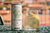 Taylor's Chip Dry & Tonic 250ml can