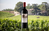 Ilex 2023 Chateau Franc Mayne 0.5%