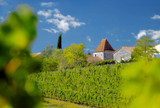 Chateau Tour des Gendres, Bergerac