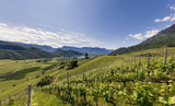 The Wines of Northern Italy
