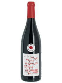 Beaujolais Villages Nouveau 2025 Jean-Michel Dupré