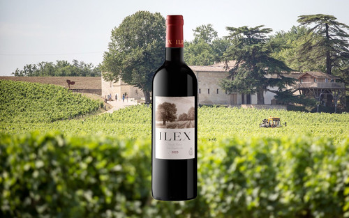 Ilex 2023 Chateau Franc Mayne 0.5%