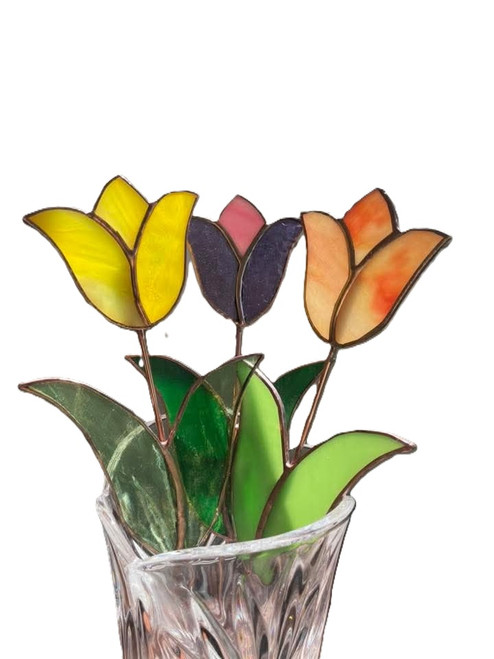 Tulip