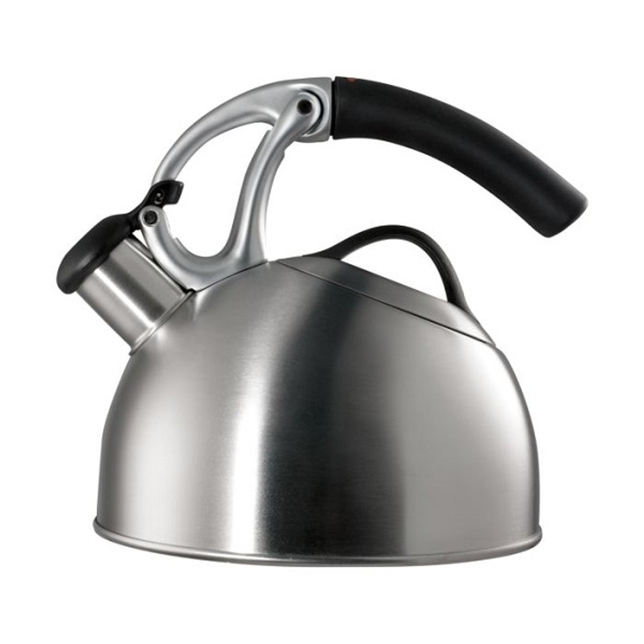 Best Induction Kettle Cooker With Filter Durable Stainless Steel Tea Kettle