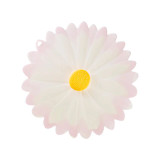 Charles Viancin 9" Pink Daisy Airtight Lid