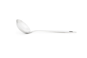 Stainless Steel Ladle, 11"
