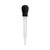 Plastic Turkey Baster
