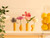 Pasta Bud Vase Set of 4