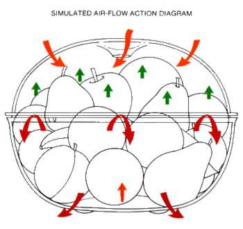 Fante's Fruit Ripener - Fante's Kitchen Shop - Since 1906