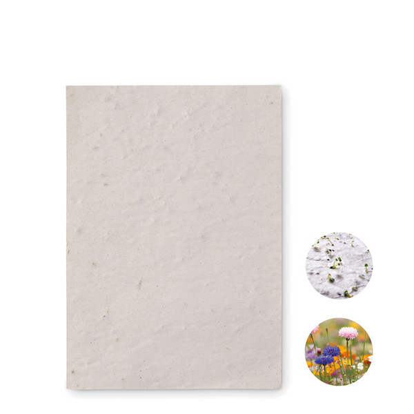 Asido - A6 wildflower seed paper sheet
