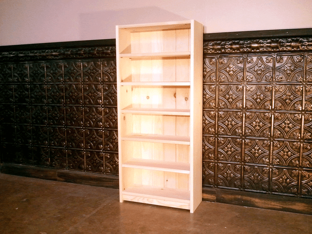 CD/DVD Bookcase Paperback Novel Shallow Depth Bookcase