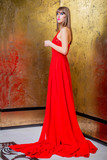 Embroidered One Shoulder Draped Gown