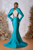 Long Sleeved Trumpet  Gown