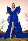 Silk Gazar and Organza Gown