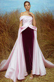 Silk Gazar and Velvet Gown