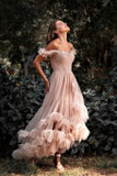 Off Shoulder Illusion Tulle Dress