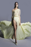 Beaded Tulle and- Chiffon Fringe Gown