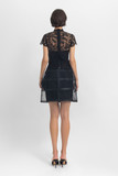 Lace Top and Cage-Like Skirt