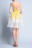 Cage Skirt Cocktail Dress
