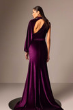 Long Sleeve Slim Velvet Gown