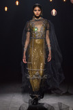 Long Sleeve Sheer Illusion Gown