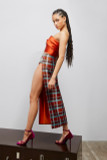 Corseted Strapless Top with Plaid Skirt