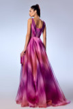 Organza A-Line Sleeveless Gown