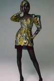 Funnel Sleeve Mini Dress